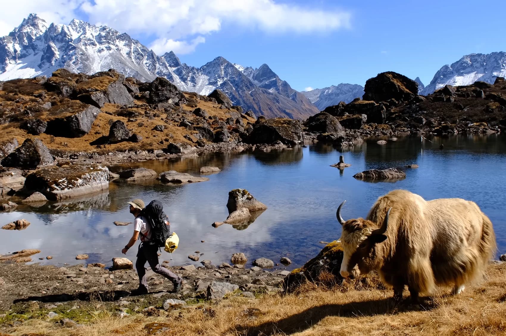 Kanchenjunga North & South Base Camp Trek