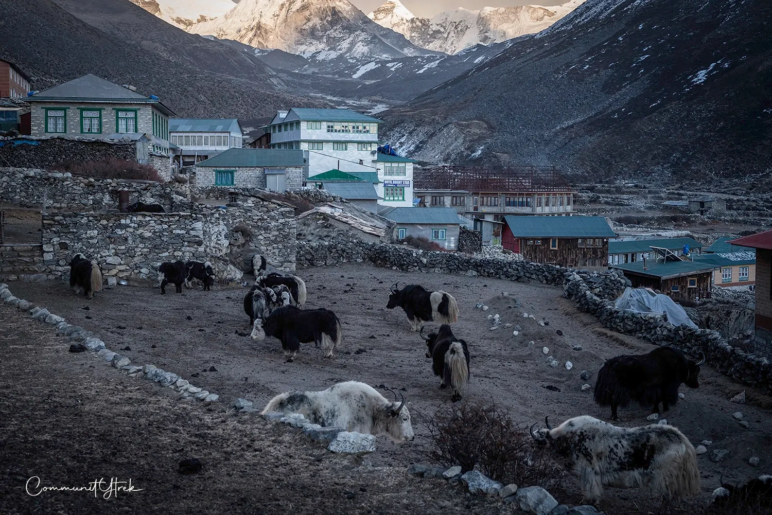 Trek to Dingbuche (4,410m / 14,500ft).