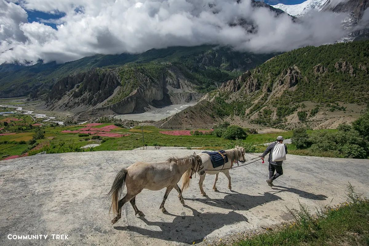Trek to Yak Kharka 4050m.
