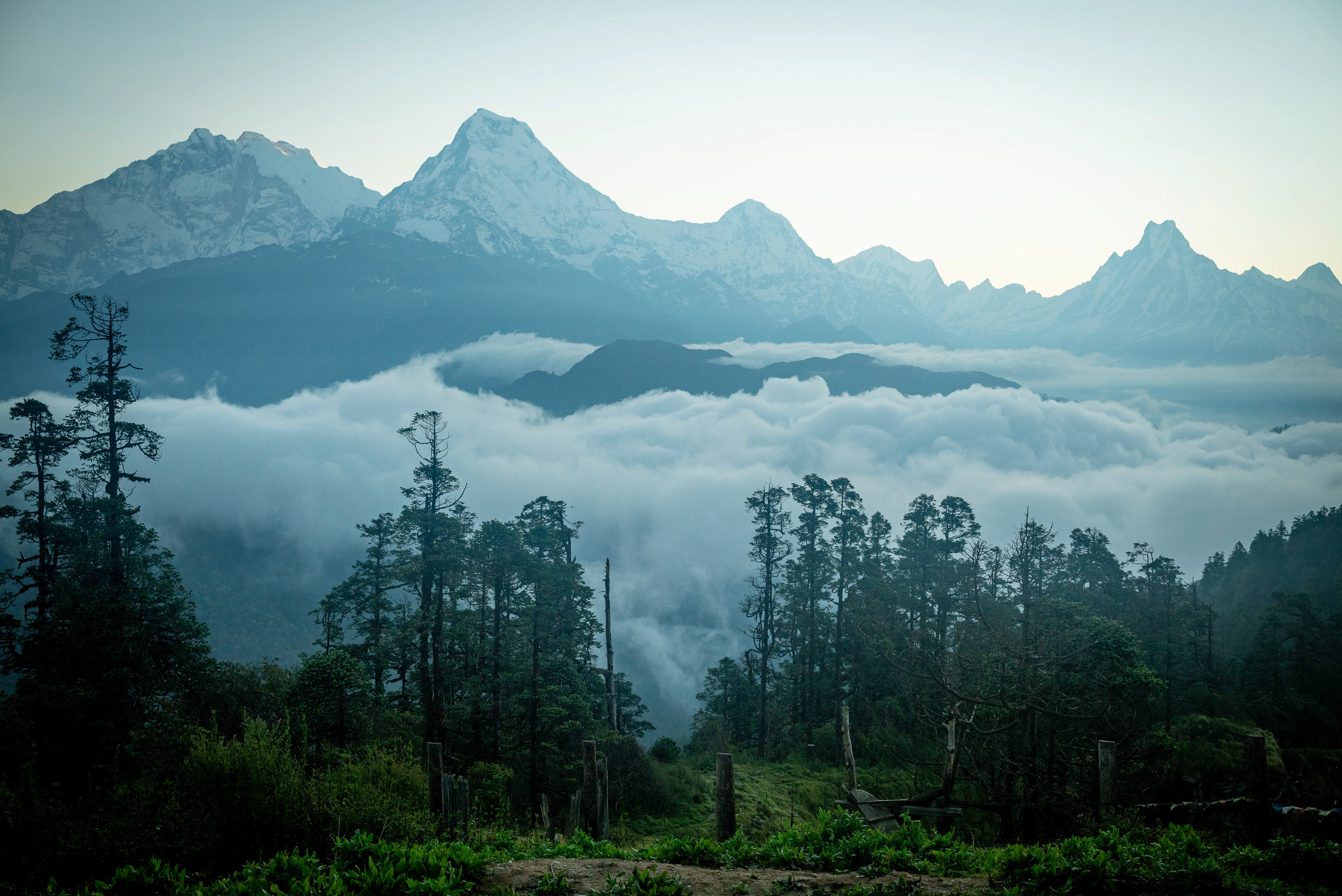 Nepal
